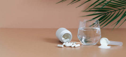Prebiotics vs Postbiotics: Which Is Better for Gut Health?