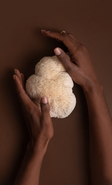 Lions Mane Mushroom Benefits: The Complete Guide to Nature's Brain Booster