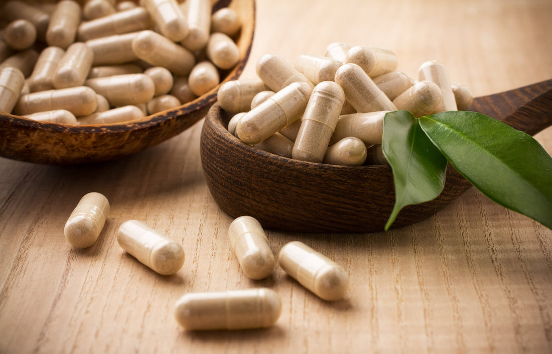 What Is Ginkgo Biloba and How It Supports Normal Body Function | FoodGrown
