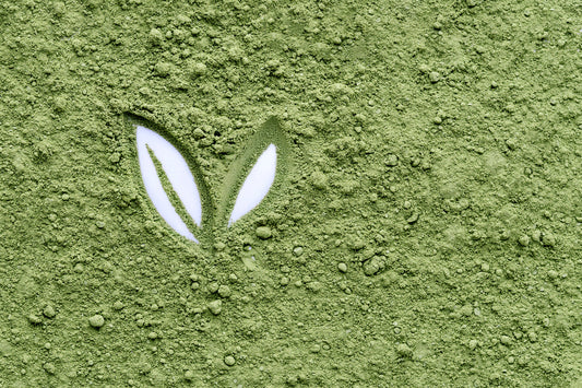 What Are Antioxidants and How Do They Support Cellular Wellness?
