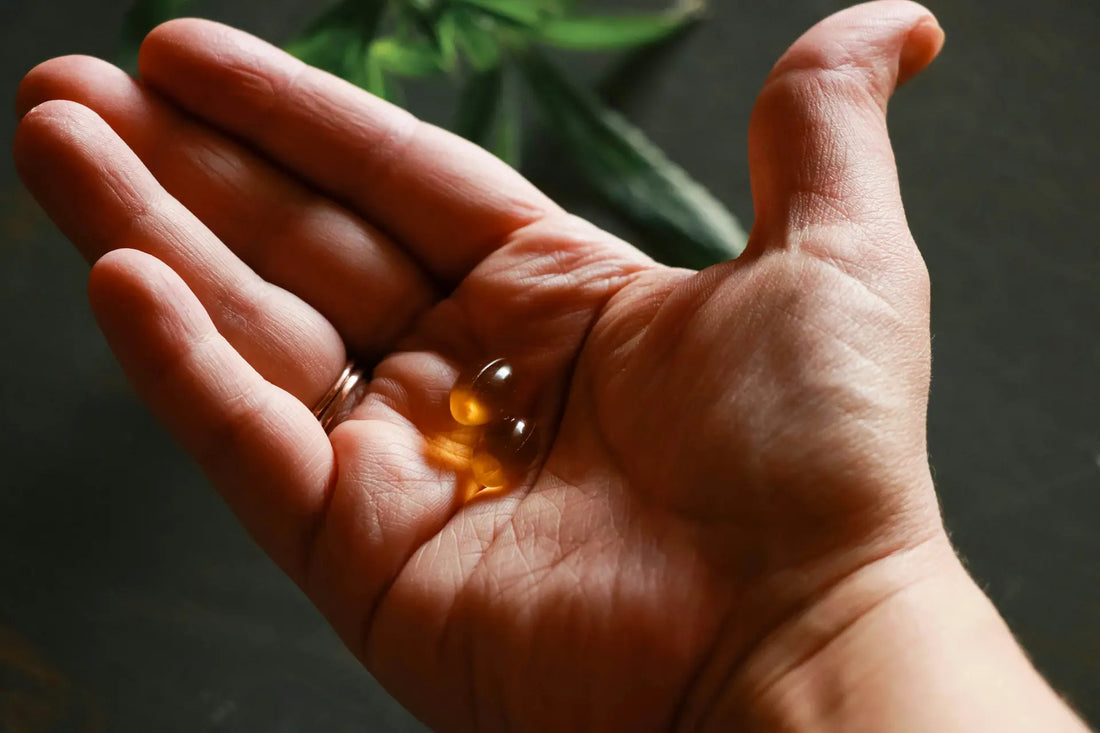Krill Oil vs Fish Oil